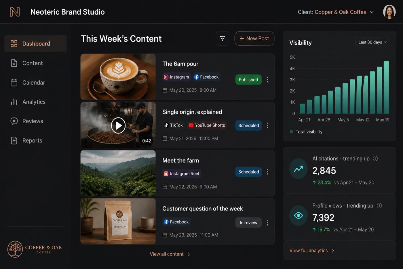 Neoteric Brand Studio content dashboard concept